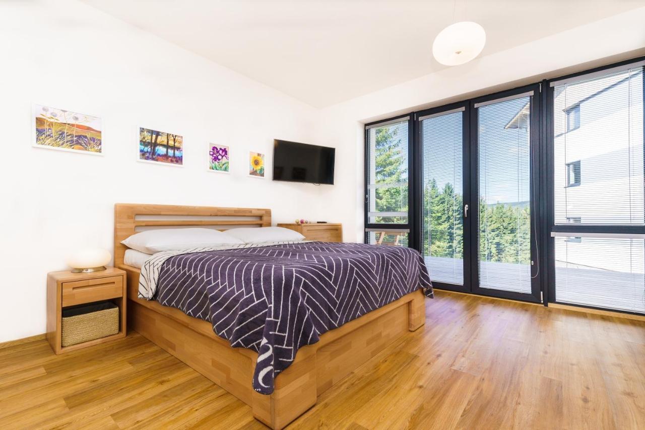 Horsky Apartman Temari 6 Klinovec Loučná pod Klínovcem 外观 照片