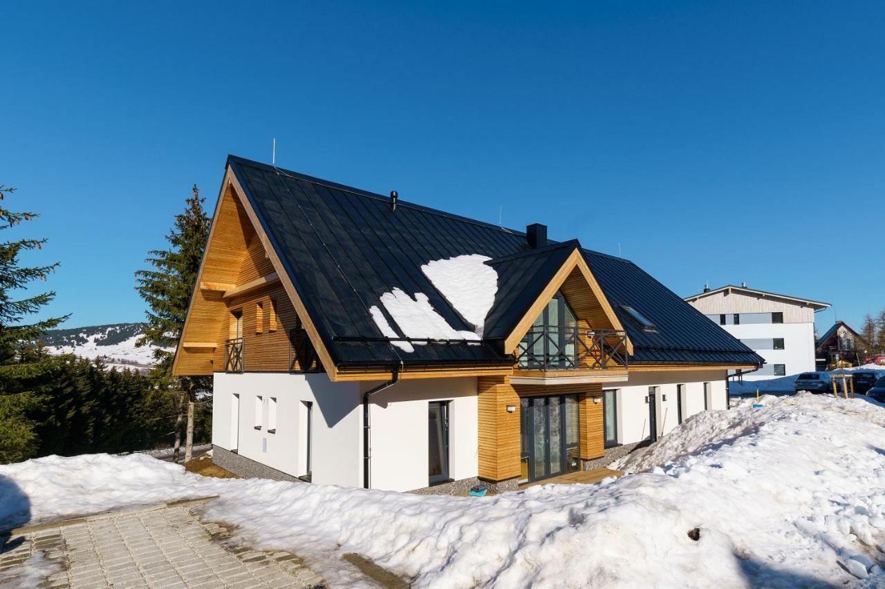 Horsky Apartman Temari 6 Klinovec Loučná pod Klínovcem 外观 照片
